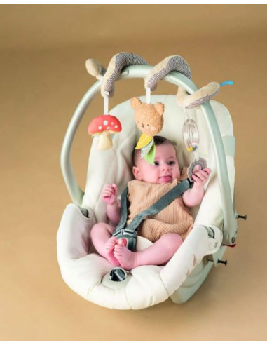 Spirale d'activités - Koala