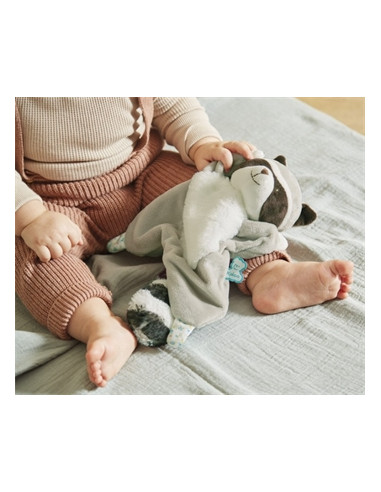 Doudou Raton Laveur - Gaston