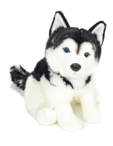 Peluche Husky assis 30 cm