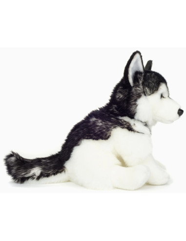 Peluche Husky assis 30 cm