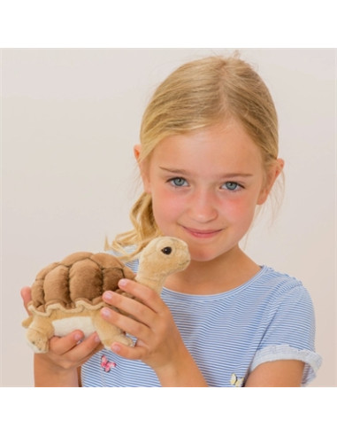 Peluche Tortue 20 cm