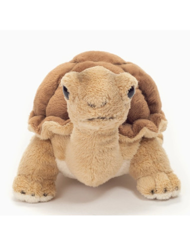 Peluche Tortue 20 cm