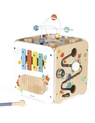 Maxi Cube Multi-Activités - Pure