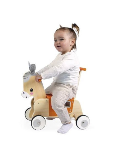 Porteur Ane 