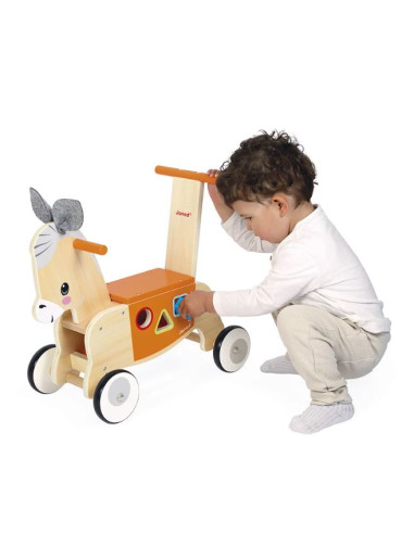 Porteur Ane 