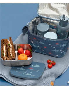Thermos repas 300ml - Shark 2