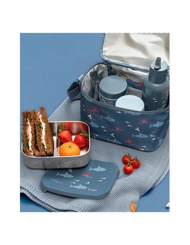 Thermos repas 300ml - Shark
