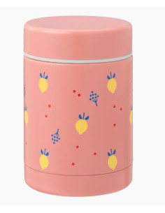 Thermos repas 300ml -...