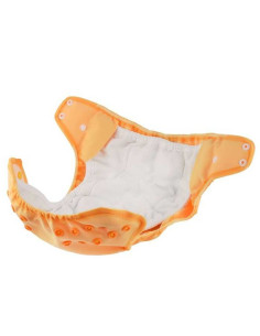 Insert TE2 Wizard Duo... 2