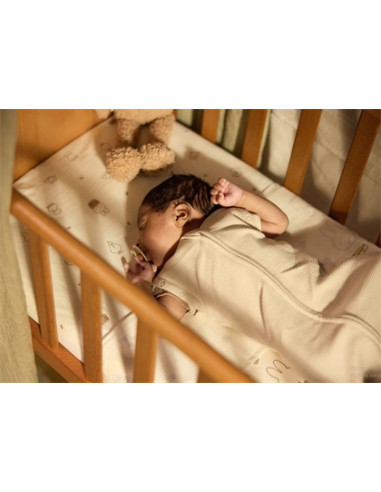 Gigoteuse d'emmaillotage Cocoon 0-3 M...