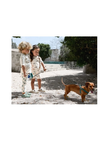Combinaison anti UV T86  - Dog...