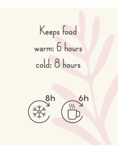 Thermos repas 300ml -... 2