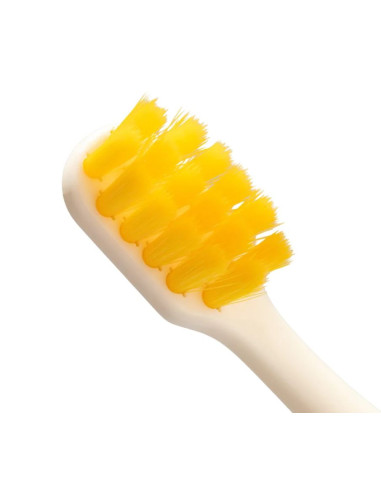 Brosse à dents bio - Jaune Flappy