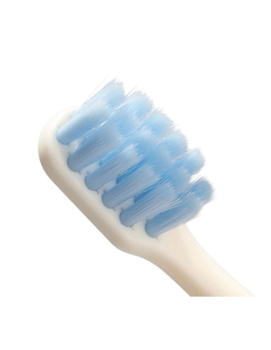 Brosse à dents bio - Blue Coco