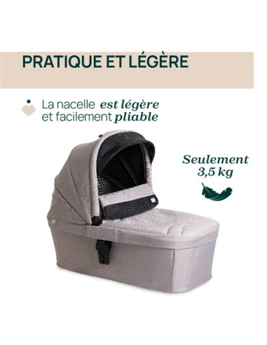 Nacelle Chicco Activ3+ - Nut