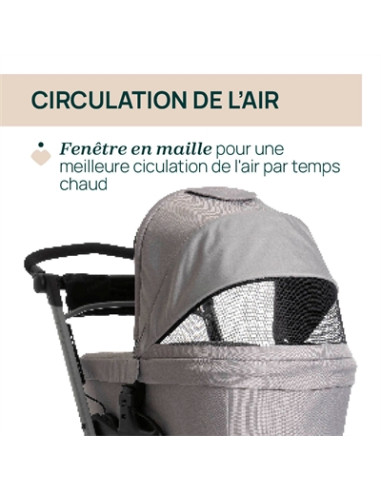 Nacelle Chicco Activ3+ - Nut