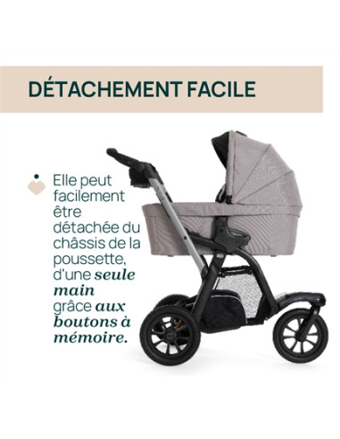 Nacelle Chicco Activ3+ - Nut