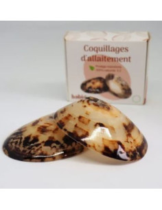 Coquillage d'allaitement 1...
