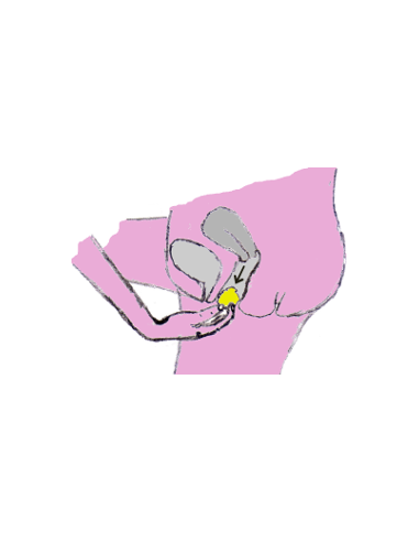 Eponge menstruelle - Lot 3pc