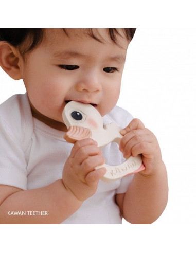 Anneau de dentition HEVEA - Kawan