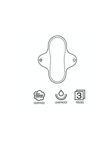 Serviette hygiénique Regular coton...