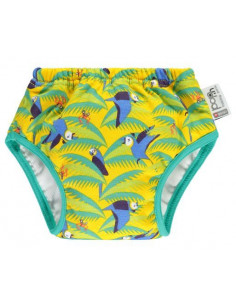 Culotte d'apprentissage...