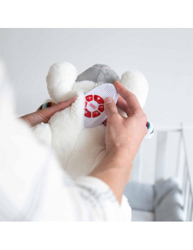 ZAZU - Heartbeat - Mouton Liz