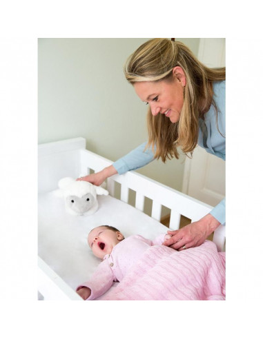 ZAZU - Heartbeat - Mouton Liz