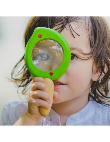 Loupe en bois - Feuille
