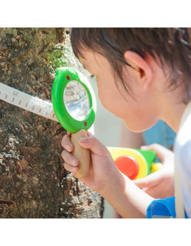 Loupe en bois - Feuille