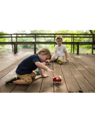 Mini véhicule en bois - Camion de...