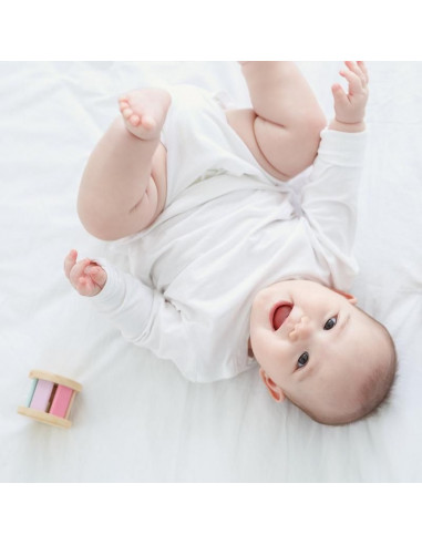 Rouleur Pastel - PlanLifestyle