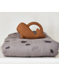 Anneau de dentition... 2