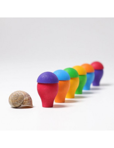 Champignons arc-en-ciel Grimm's 