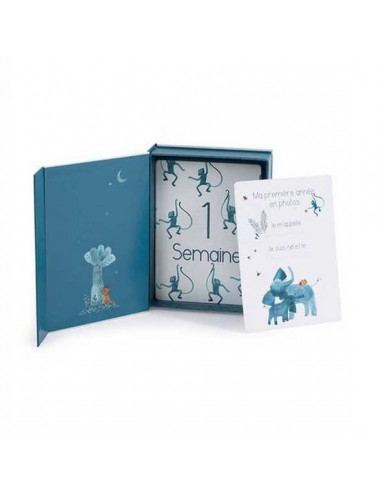 Cartes Mes 12 premiers mois - Sous...
