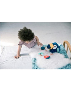 Pablo pique-assiette 2