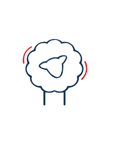 Bonnet chausson coton/pol...