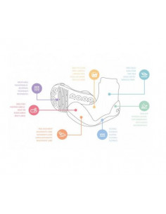 Chaussures Attipas T20 -... 2