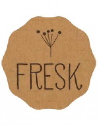 Body coton bio manche longue -...