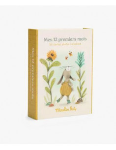 Cartes Mes 12 premiers mois...