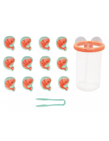 Jeu de bain - attrape crevettes