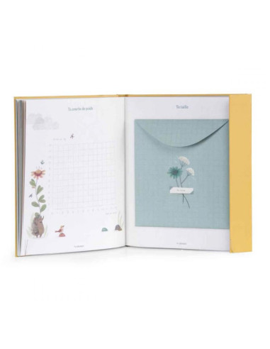 Livre de naissance - Trois petits lapins