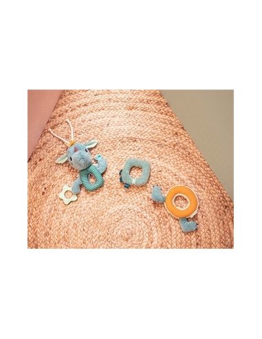 Chaîne d'activités sensorielles - Joe...