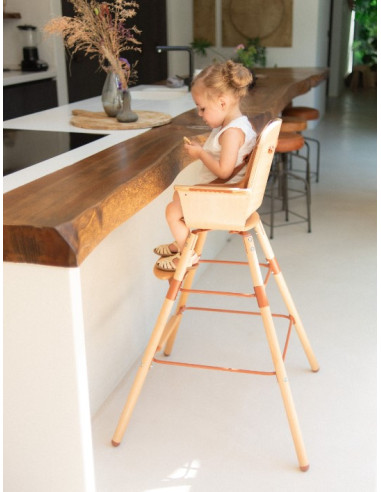 Chaise bébé évolutive EVOWOOD -...