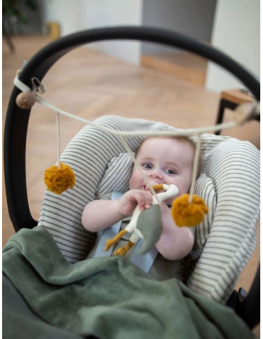 Chaine activités coton Bio - Héron