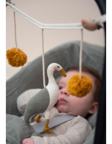 Chaine activités coton Bio - Héron