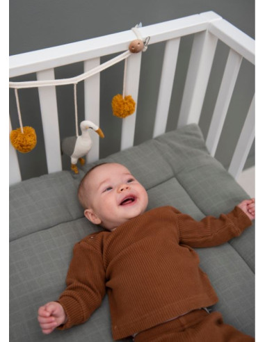 Chaine activités coton Bio - Héron