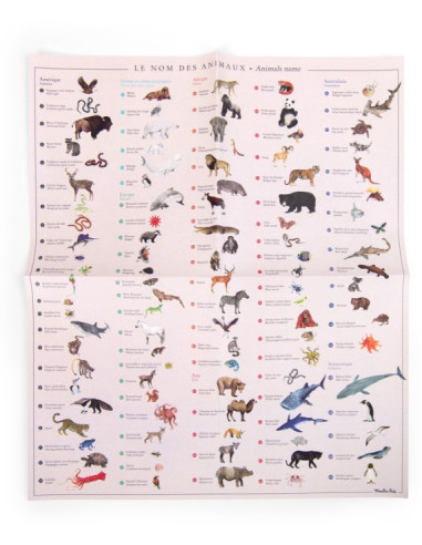 Mappemonde avec décalcomanies - Les...