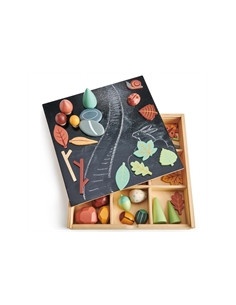 Coffret sol forestier et... 2