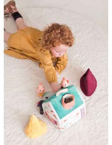 La maison du loup et des 3 petits...